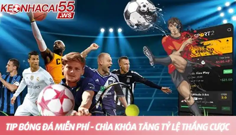 Tip bóng đá miễn phí - Chìa khóa nâng cao tỷ lệ thắng cược